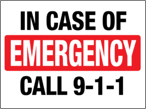 ws26008_incaseofemergencycall911__14762-1397133883-1280-1280